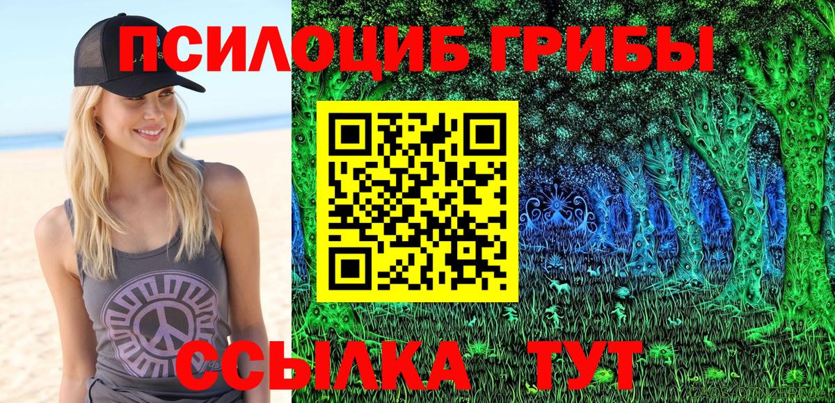 Буйнакск  Псилоцибиновые грибы Magic Shrooms  Вход с VPN 
